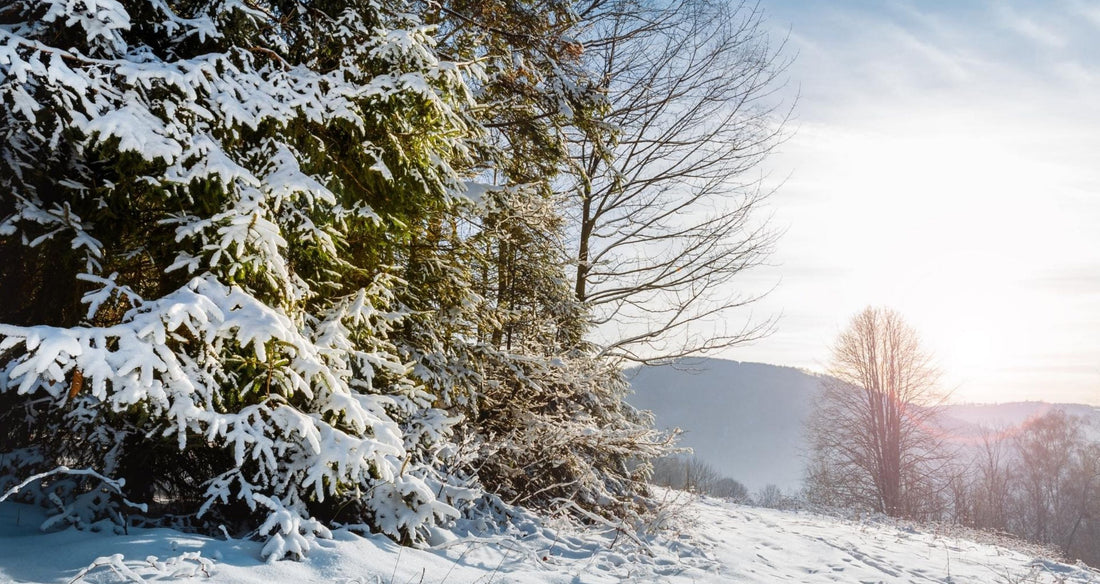 Pass and Move Football Drills to Keep Kids Training Through Winter