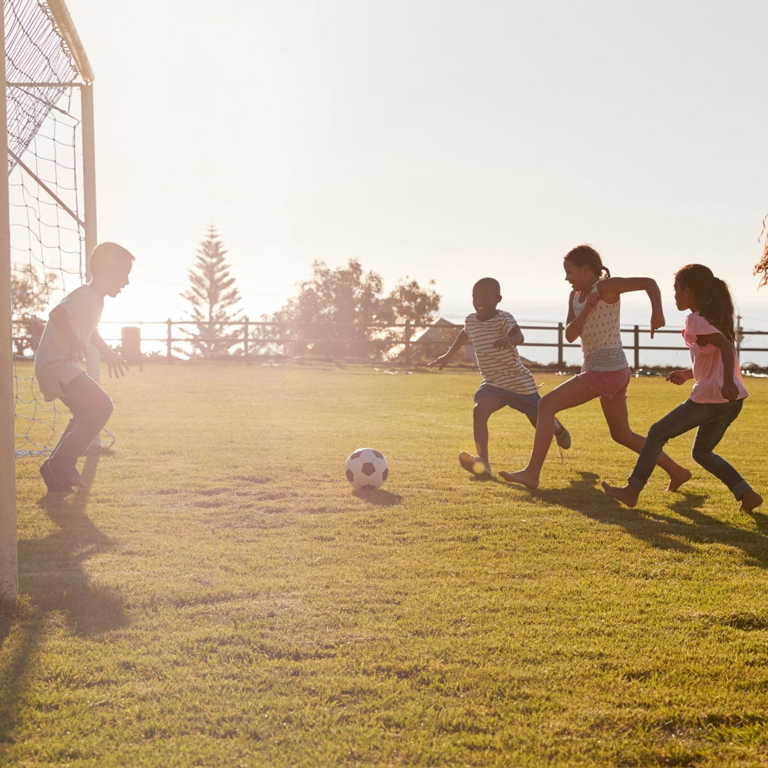 The Best Football Training Equipment for Kids: Must-Have Gear for Young Players