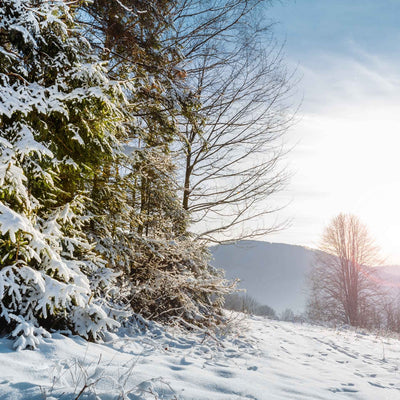 Pass and Move Football Drills: Keep Kids Active Even in Winter